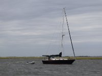 IMG 1683