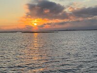 IMG 2683