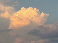 IMG 0644