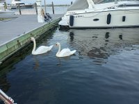 IMG 20220823 192833706 HDR