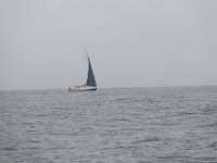 IMG 2765