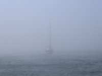 IMG 2768