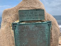 IMG 4864