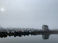 IMG 5117