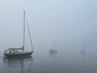 IMG 6045
