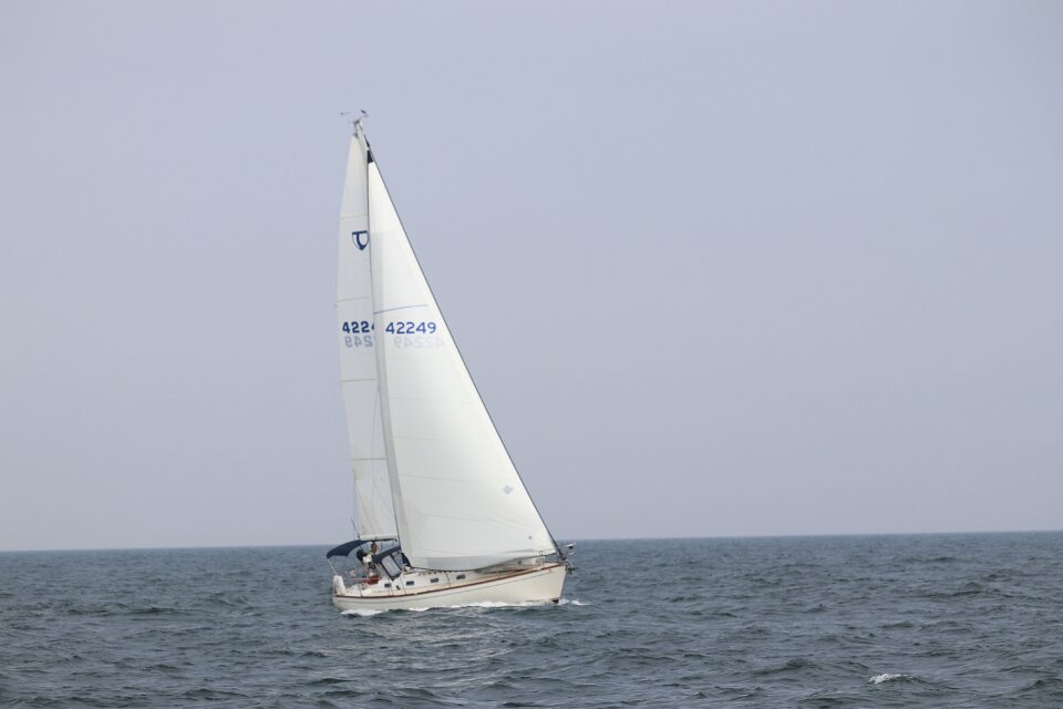 IMG 4339
