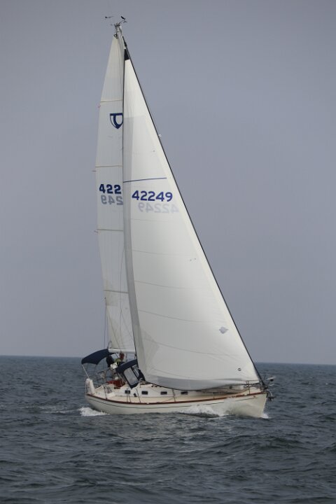 IMG 4345