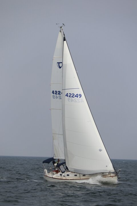 IMG 4350