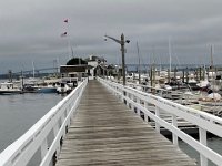 IMG 5445