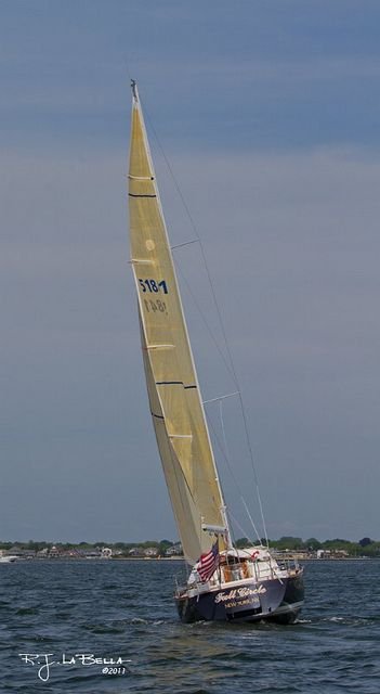  11 0919