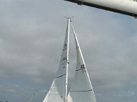 IMG 0263