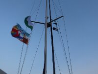 IMG 4361