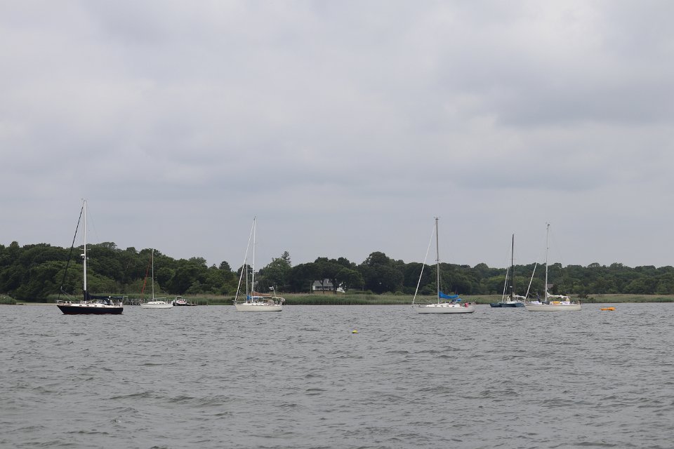IMG 0541