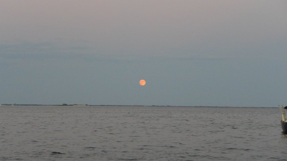 P1150917