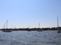 IMG 0489