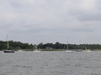 IMG 0541