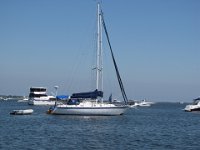 IMG 6521