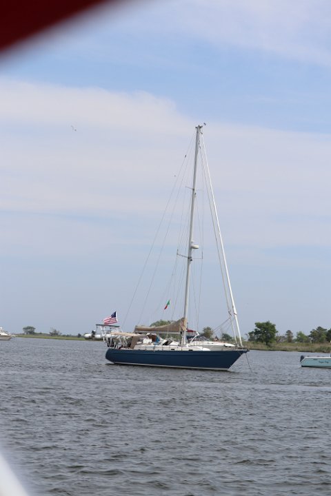 IMG 0100