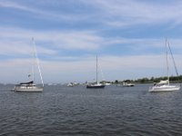 IMG 0111