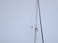 IMG 0112