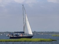 IMG 3503