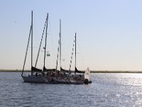 IMG 3508