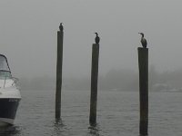 P1050165