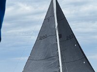 IMG 5381
